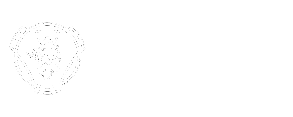 scania-1024x410_1c
